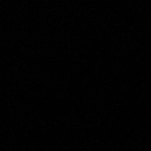 Meet your Posher, Twila